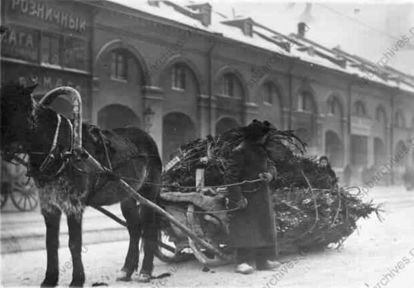 1913. Воз с елками у Никольского рынка
