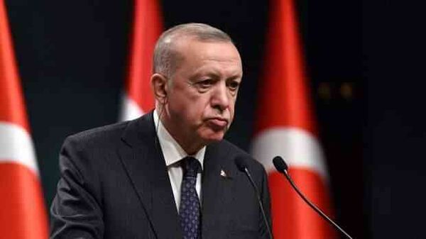 Эрдоган исключил вступление Финляндии и Швеции в НАТО, «пусть не обижаются»